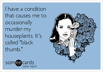 I have a condition
that causes me to
occasionally
murder my
houseplants. It's
called "black
thumb."