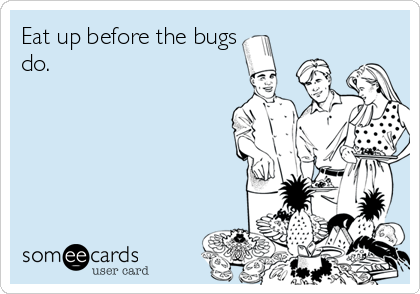 Eat up before the bugs
do.