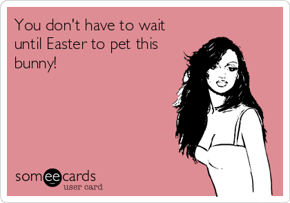 You don't have to wait
until Easter to pet this
bunny!