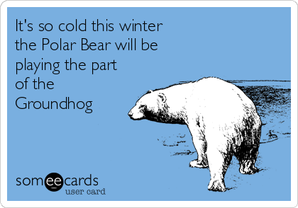 It's so cold this winter 
the Polar Bear will be 
playing the part 
of the
Groundhog