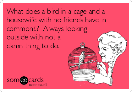 What does a bird in a cage and a
housewife with no friends have in
common?.?  Always looking
outside with not a
damn thing to do..