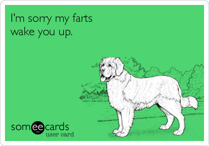 I'm sorry my farts
wake you up.