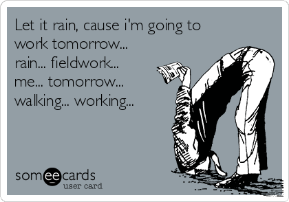 Let it rain, cause i'm going to
work tomorrow...
rain... fieldwork...
me... tomorrow...
walking... working...