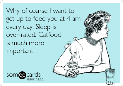 Why of course I want to
get up to feed you at 4 am
every day. Sleep is
over-rated. Catfood
is much more
important.