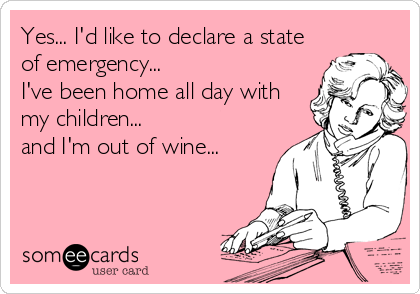 Yes... I'd like to declare a state
of emergency... 
I've been home all day with
my children...
and I'm out of wine...