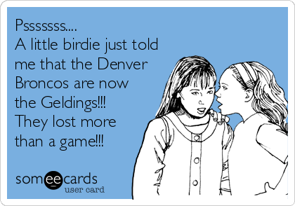 Psssssss....
A little birdie just told 
me that the Denver
Broncos are now
the Geldings!!! 
They lost more
than a game!!!