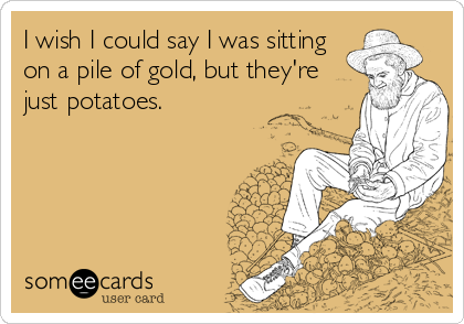 I wish I could say I was sitting
on a pile of gold, but they're
just potatoes.