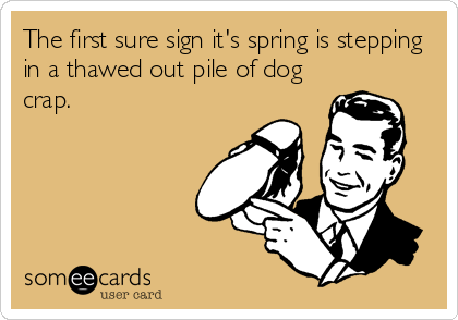 The first sure sign it's spring is stepping
in a thawed out pile of dog
crap.