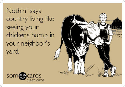 Nothin' says
country living like
seeing your
chickens hump in
your neighbor's
yard.