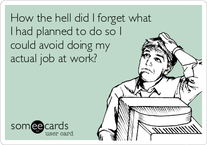 How the hell did I forget what
I had planned to do so I
could avoid doing my
actual job at work?