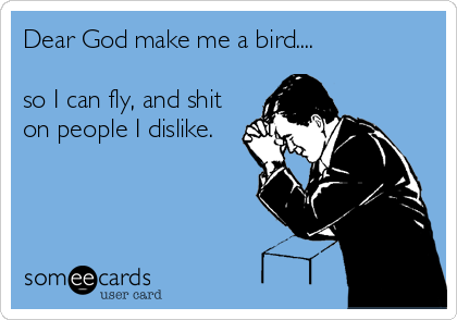 Dear God make me a bird....

so I can fly, and shit
on people I dislike.
