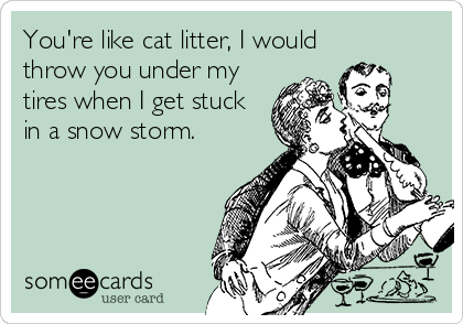 You're like cat litter, I would
throw you under my
tires when I get stuck
in a snow storm.