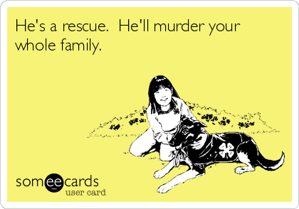 He's a rescue.  He'll murder your
whole family.