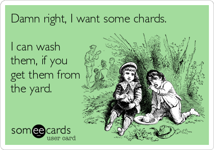Damn right, I want some chards.

I can wash
them, if you
get them from
the yard.