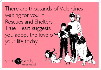 There are thousands of Valentines
waiting for you in
Rescues and Shelters.
True Heart suggests
you adopt the love of
your life today.