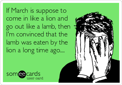 If March is suppose to
come in like a lion and
go out like a lamb, then
I'm convinced that the
lamb was eaten by the
lion a long time ago....