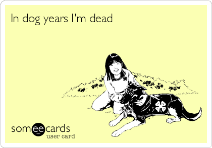 In dog years I'm dead