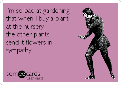 I'm so bad at gardening
that when I buy a plant 
at the nursery
the other plants
send it flowers in
sympathy.
