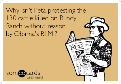 Why isn't Peta protesting the
130 cattle killed on Bundy
Ranch without reason
by Obama's BLM ?