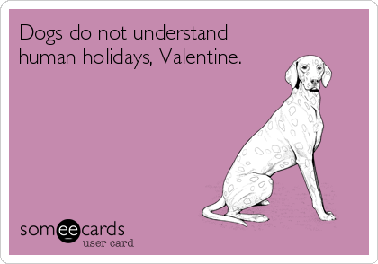 Dogs do not understand
human holidays, Valentine.