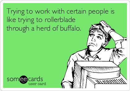 Trying to work with certain people is
like trying to rollerblade
through a herd of buffalo.
