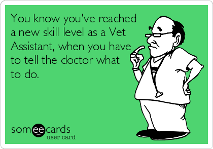 You know you've reached
a new skill level as a Vet
Assistant, when you have
to tell the doctor what
to do.