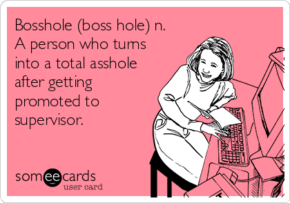 Bosshole (boss hole) n.
A person who turns
into a total asshole
after getting
promoted to
supervisor.