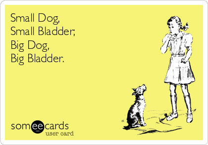 Small Dog,
Small Bladder;
Big Dog,
Big Bladder.
