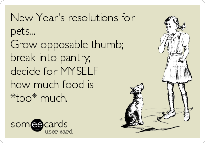 New Year's resolutions for
pets...
Grow opposable thumb;
break into pantry;
decide for MYSELF
how much food is
*too* much.