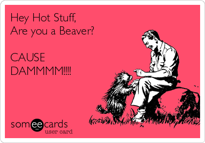 Hey Hot Stuff,
Are you a Beaver?

CAUSE
DAMMMM!!!!