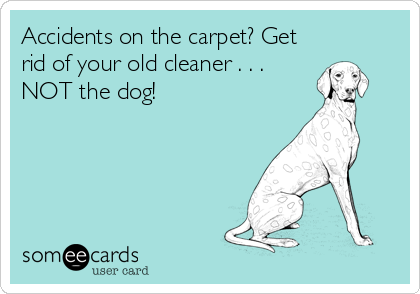 Accidents on the carpet? Get
rid of your old cleaner . . .
NOT the dog!