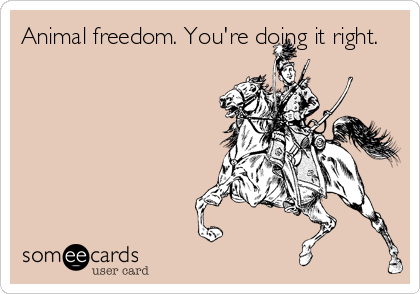 Animal freedom. You're doing it right.