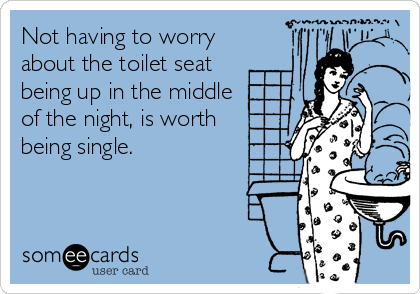 Not having to worry
about the toilet seat
being up in the middle
of the night, is worth 
being single.
