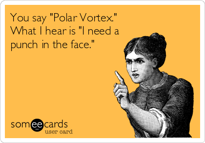 You say "Polar Vortex."
What I hear is "I need a
punch in the face."