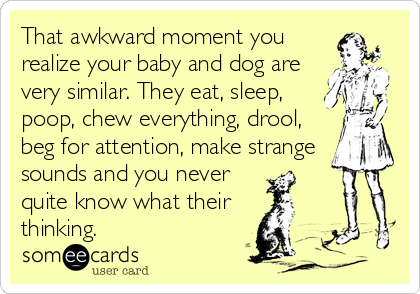 That awkward moment you
realize your baby and dog are
very similar. They eat, sleep,
poop, chew everything, drool, 
beg for attention, make strange 
sounds and you never
quite know what their 
thinking.