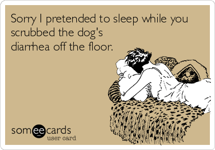 Sorry I pretended to sleep while you
scrubbed the dog's
diarrhea off the floor.