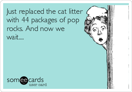 Just replaced the cat litter
with 44 packages of pop
rocks. And now we
wait....