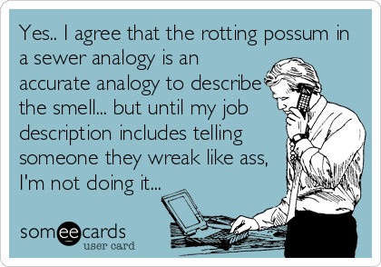 Yes.. I agree that the rotting possum in
a sewer analogy is an
accurate analogy to describe
the smell... but until my job
description includes telling
someone they wreak like ass,
I'm not doing it...