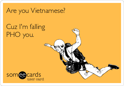 Are you Vietnamese?

Cuz I'm falling
PHO you.
