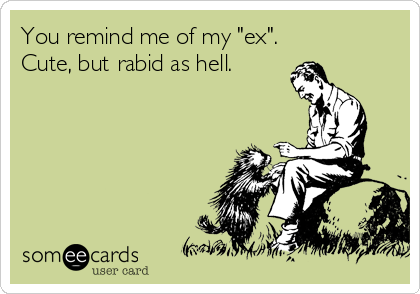 You remind me of my "ex".
Cute, but rabid as hell.
