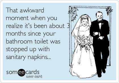 That awkward
moment when you
realize it's been about 3
months since your
bathroom toilet was
stopped up with
sanitary napkins...