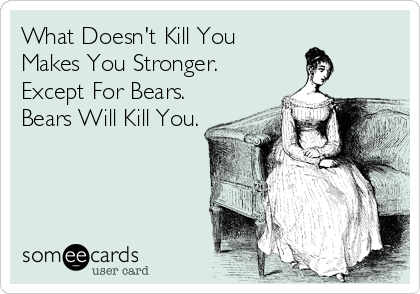 What Doesn't Kill You
Makes You Stronger.
Except For Bears.
Bears Will Kill You.