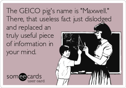 The GEICO pig's name is "Maxwell."
There, that useless fact just dislodged
and replaced an
truly useful piece
of information in
your mind.