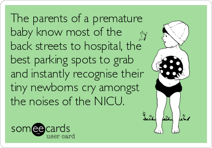 The parents of a premature
baby know most of the 
back streets to hospital, the
best parking spots to grab
and instantly recognise their
tiny newborns cry amongst
the noises of the NICU.