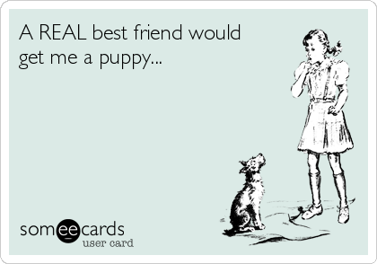 A REAL best friend would
get me a puppy... 