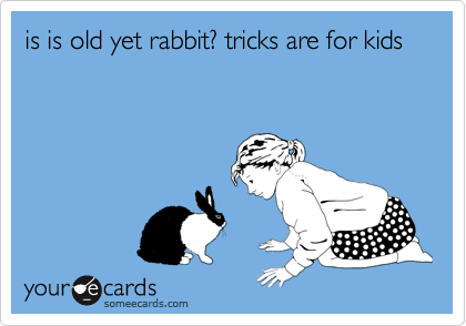 is is old yet rabbit? tricks are for kids