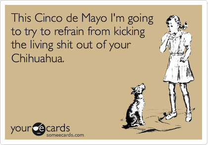 This Cinco de Mayo I'm going
to try to refrain from kicking
the living shit out of your
Chihuahua.
