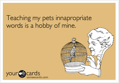 
Teaching my pets innapropriate words is a hobby of mine.