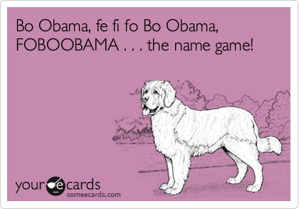 Bo Obama, fe fi fo Bo Obama,  FOBOOBAMA . . . the name game!
