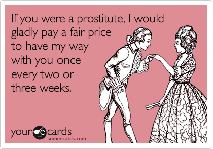 If you were a prostitute, I would gladly pay a fair price
to have my way
with you once
every two or
three weeks.